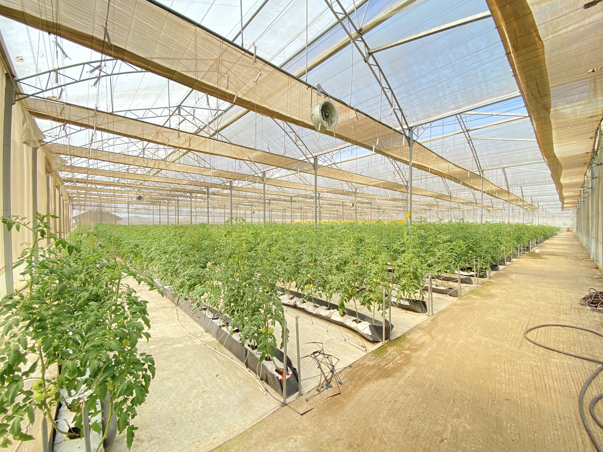 Farm workers in action